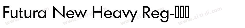 Futura New Heavy Reg字体转换